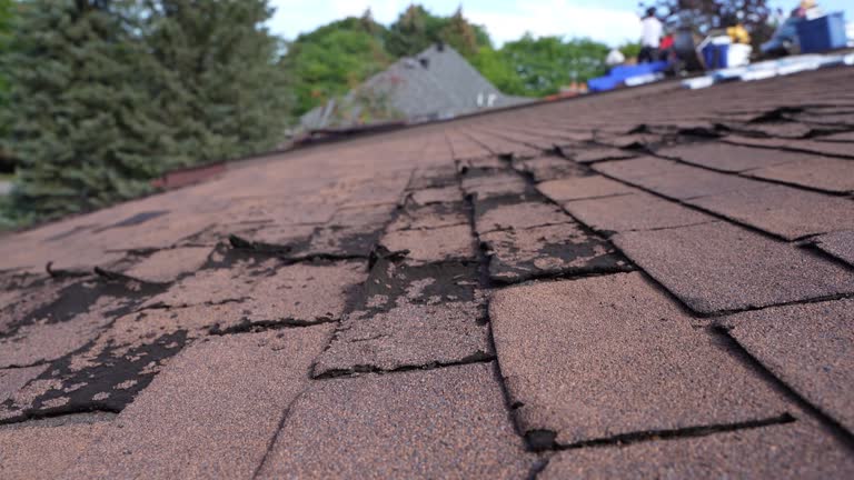 Kent Acres, DE Roofing Services Company