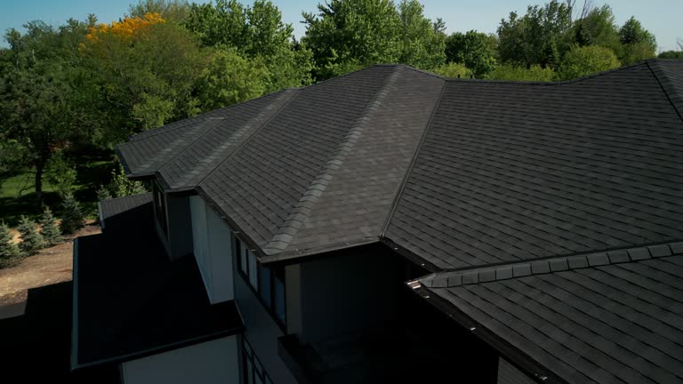 Best Steel Roofing  in Kent Acres, DE