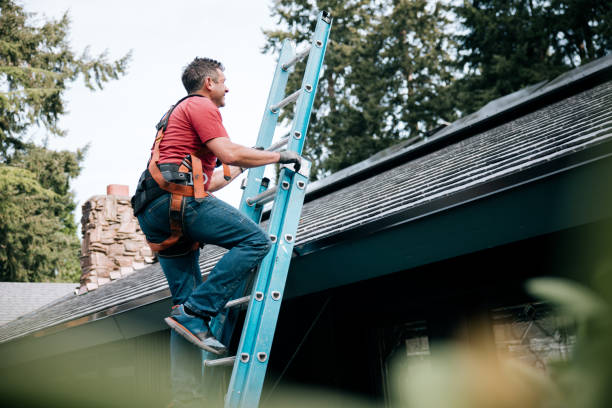 Best Asphalt Shingle Roofing  in Kent Acres, DE