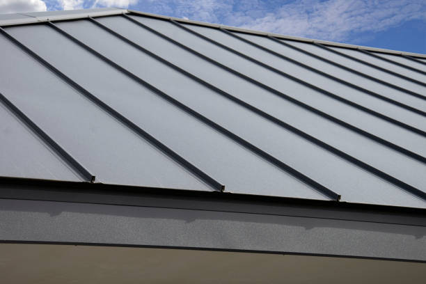 Best Roof Moss and Algae Removal  in Kent Acres, DE
